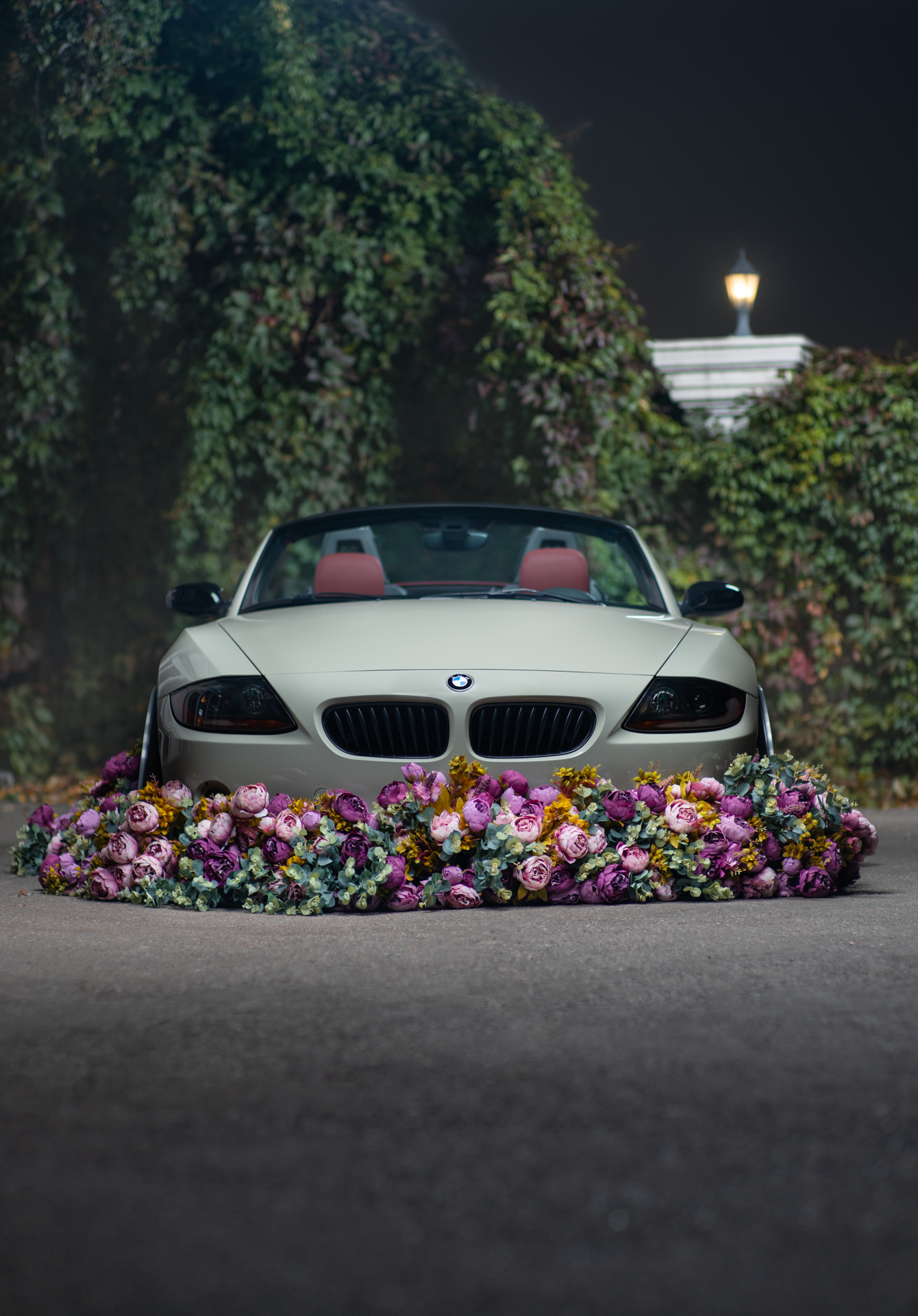 BMW Z4 stance 